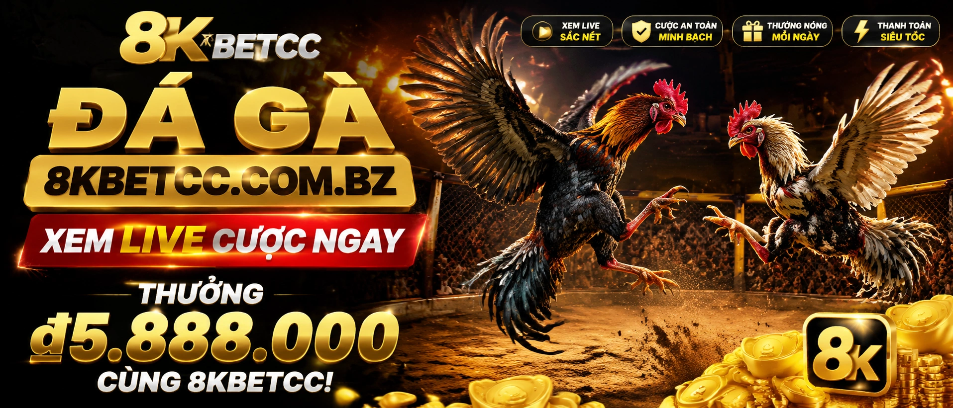 Đá Gà Trực Tiếp